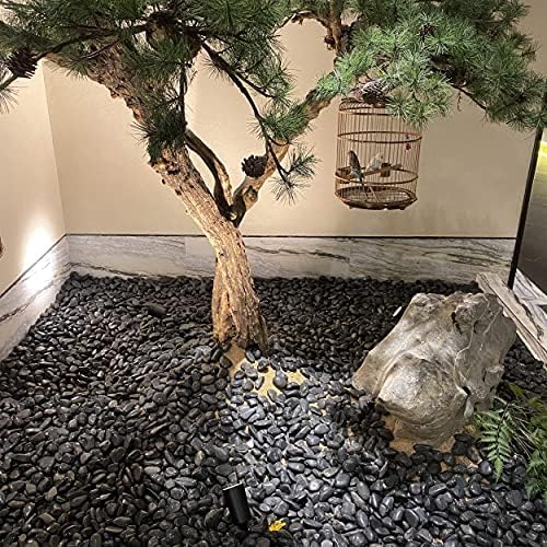 Натурална Полиран черен камъчета FANTIAN - Декоративни Гладка черна Речни камъни за бамбукови растения, Камъни за