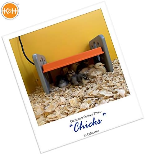 K&H Pet Products Термо-една квачка за Пилета, Нагревател за Пилета, Чиния за брудера за Пилета, по-Безопасна алтернатива на Подгряващата Лампа за Пилета - Сиво / Оранжево Ма?