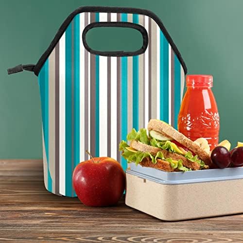 Чанта за Обяд TFCOCFT Дамски, Кутия за Обяд, Изолирано Чанта За Обяд, Дамски Кутия за Обяд, модел в синята лента