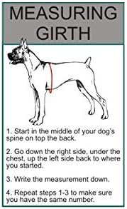 Куче-терапевт в Тренировъчната найлон шлейке за кучета. За закупуване прилагат се 2 светлоотразителни сменяеми пластира Therapy Dog in Training. Моля, измерете вашето куче пр