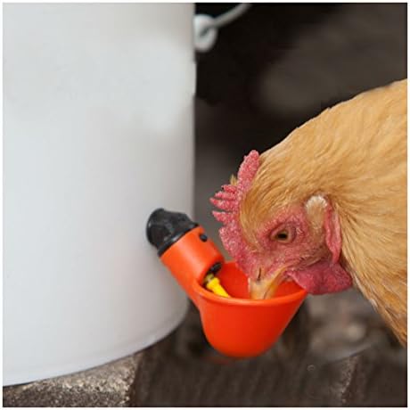 Небрендированные 5 Опаковки, Чаши За Пиене от Домашни птици - Пластмасова Автоматична Пиенето за пилета