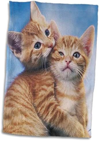 Кърпи за котки 3dRose Florene - Kitten Love - (twl-33337-1)
