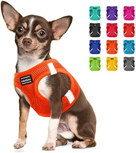 Светоотражающая шлейка за кучета CollarDirect Step-in - Въздушна мрежа за малки и средни кучета, които лесно се носят и се оттегли във всяко време (размер S, orange)