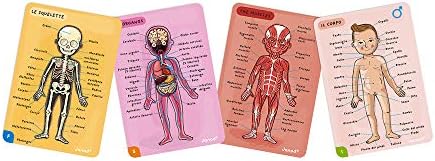 Развитие на играта Janod Bodymagnet Човешкото тяло - Анатомия, Органи, Скелета, Мускулите - 76 Магнитни елементи - За деца, от 7 години, 12 езика, J05491