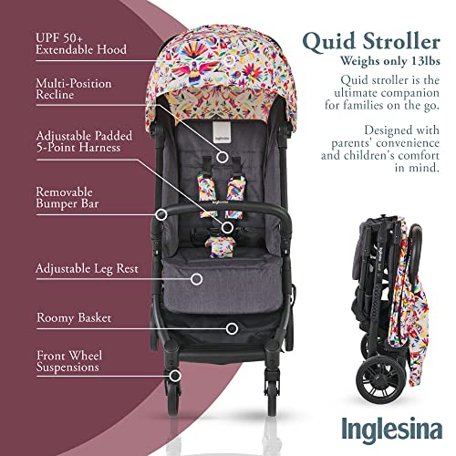 Дъждобран и козирка за детска количка Inglesina Лири, за деца - Водоустойчив, лек и компактен - Аксесоар за студено време, вятър, зимата, лятото и пътуване - Прозрачен