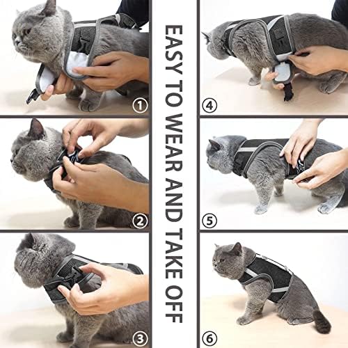 Комплект котешки хамути и каишка от непромокаемой окото PATTEPOINT Escape, Регулируем Модел яке-жилетка за допълнителни котенца, Отразяващи ленти по ръба на за осигуряван?