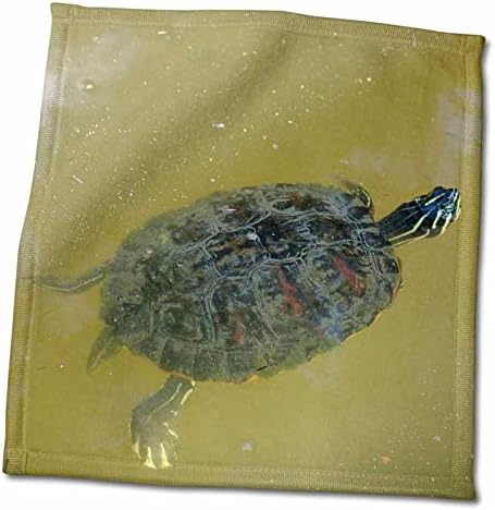 3. Костенурка Флорен - Тими Turtle - Кърпи (twl-7362-1)