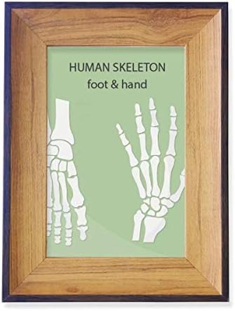 Направи си сам Мислител Човешки Скелет Ръце и Крака Фоторамка Изложбен Дисплей Изкуство Настолна Живопис