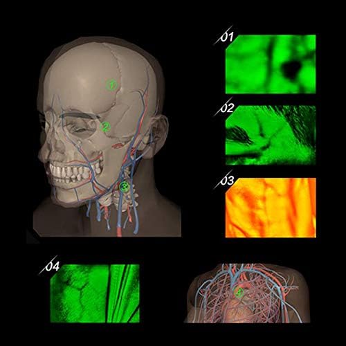 Скенер вени Denshine с подсветка на дисплея, сензор за откриване на изображения, устройство за разглеждане на вените
