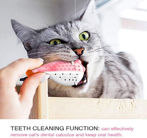None Branded The cat Toys Интерактивна Котешка Четка за Зъби, Дъвки Играчка за Коте Kitty Cats, Почистване на зъбите, Грижи се за зъбите си (Син)