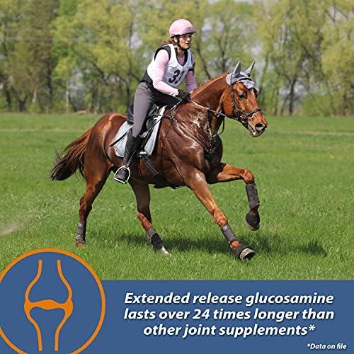 Farnam MaxFlex XR Добавка за стави с удължено освобождаване за коне, осигурява постоянен запас от съставки за здравето на ставите в рамките на 24 часа, 0,9375 паунда, в 30-дневен