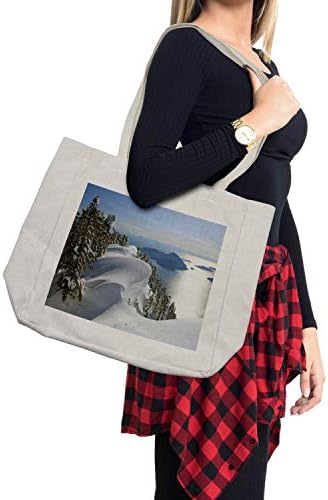 Зимна чанта за пазаруване Ambesonne, на Тихия океан се среща с планината, Ванкувър, Британска Колумбия, Канада, Дългогодишна чанта за Еднократна употреба за покупки на п